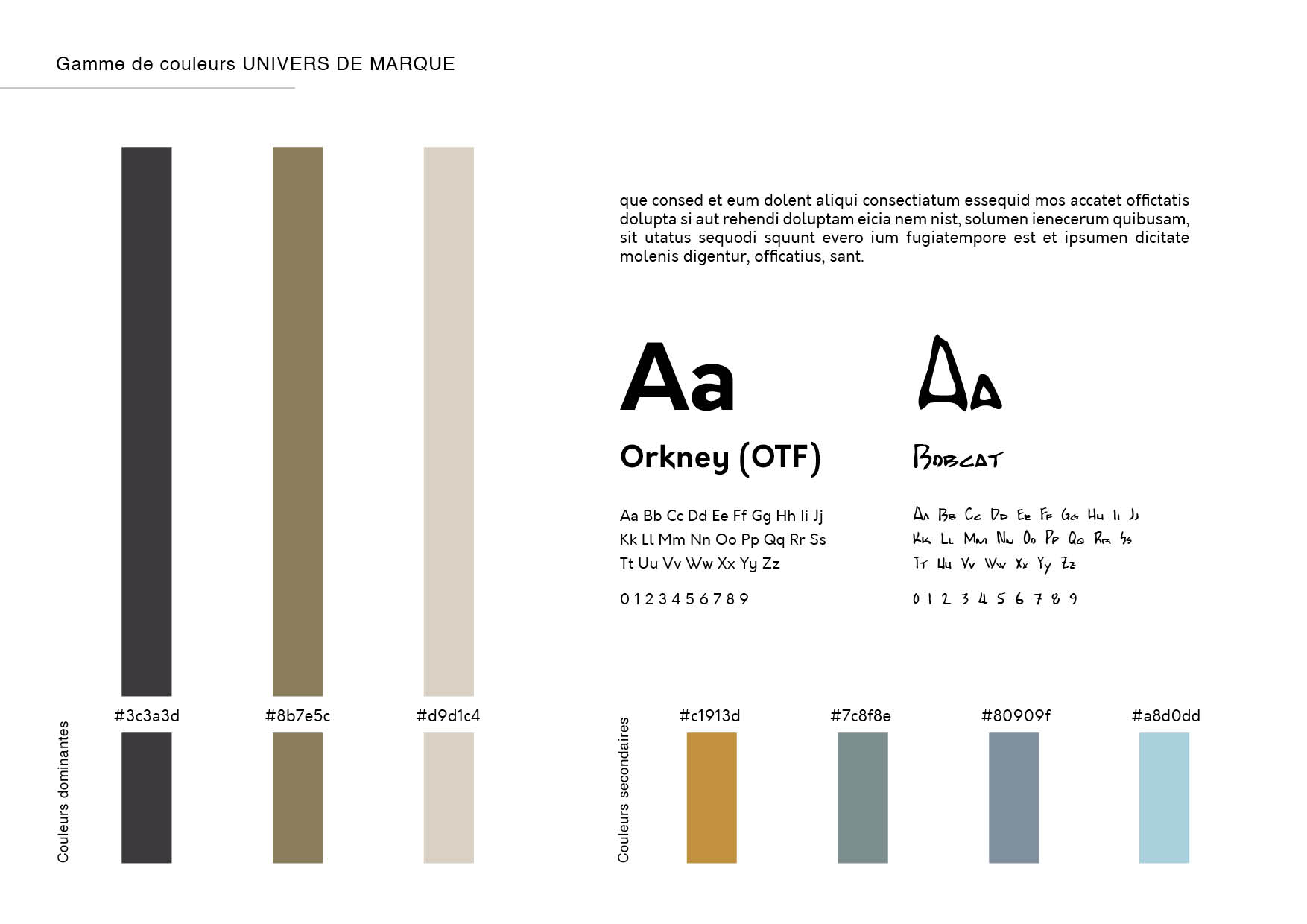 Palettes de couleurs utilisées pour la charte graphique