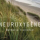 logo neuroxygene entreprise de nathalie vialleton en neurofeedback sur photo de plage avec dune en herbe